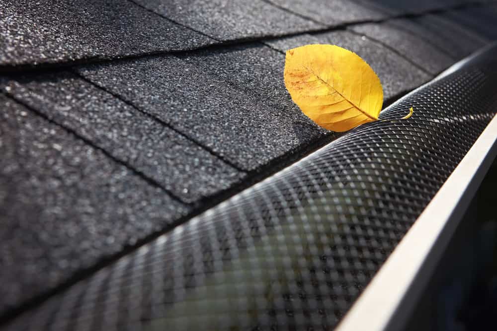 A single yellow leaf rests on a black shingle roof near a metal gutter guard with a fine mesh cover, showcasing the attention to detail you can expect from an experienced MD roofing contractor in Talbot County.