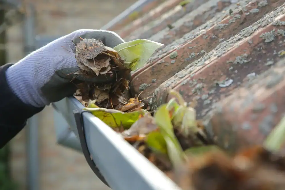Close-up of gutter leaf removal in Talbot County, Maryland, performed by Bay Area Exteriors to protect homes from water damage and maintain exterior integrity